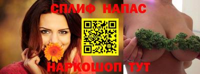 альфа пвп Заводоуковск