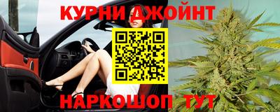 альфа пвп Заводоуковск
